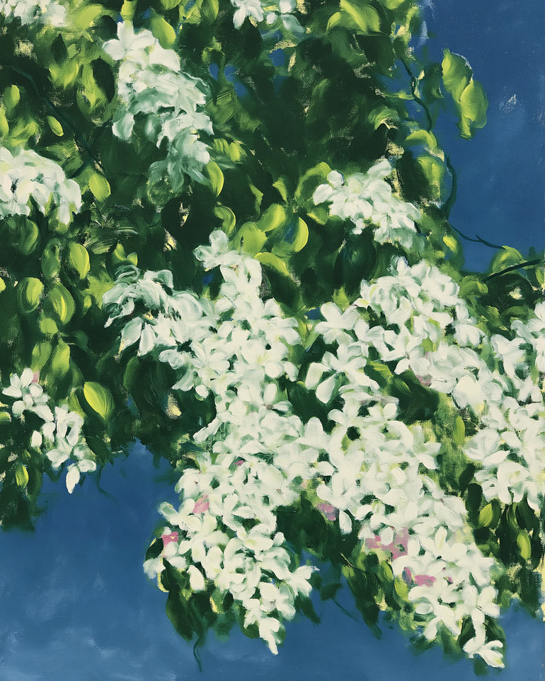 White blossoms on blue field