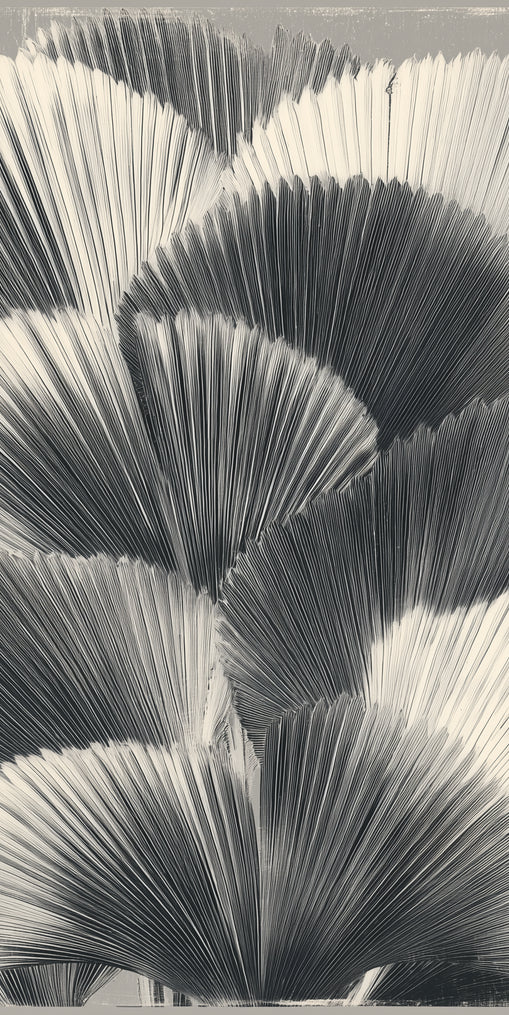 Ginkgo leaves in shadow