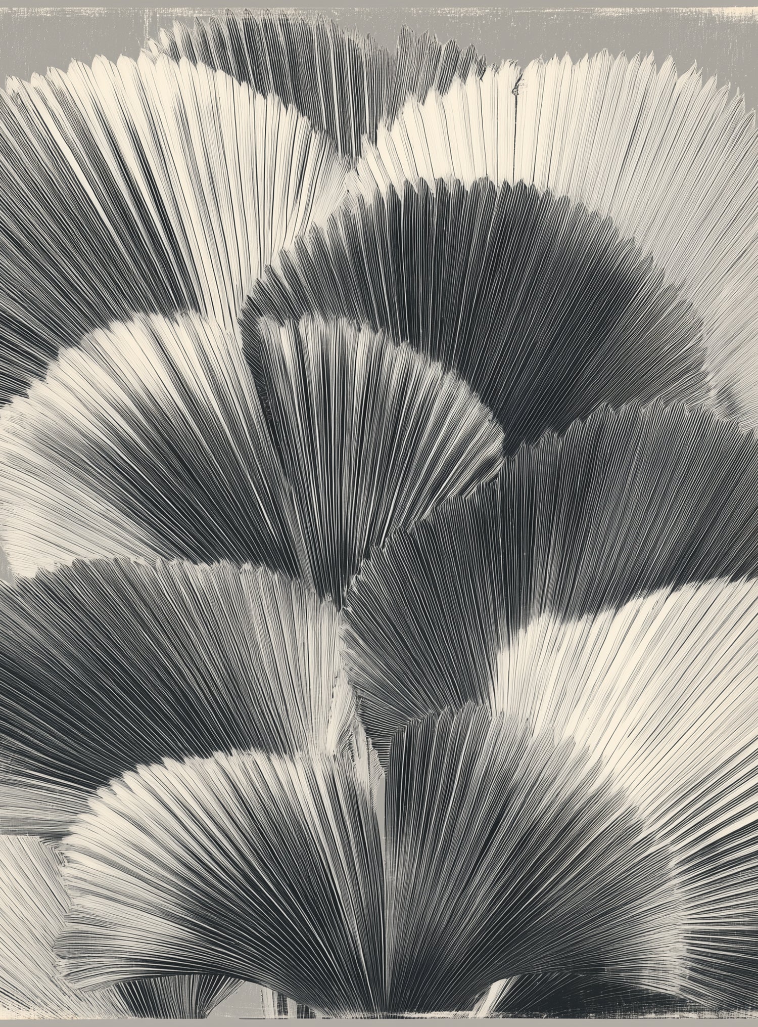 Ginkgo leaves in shadow