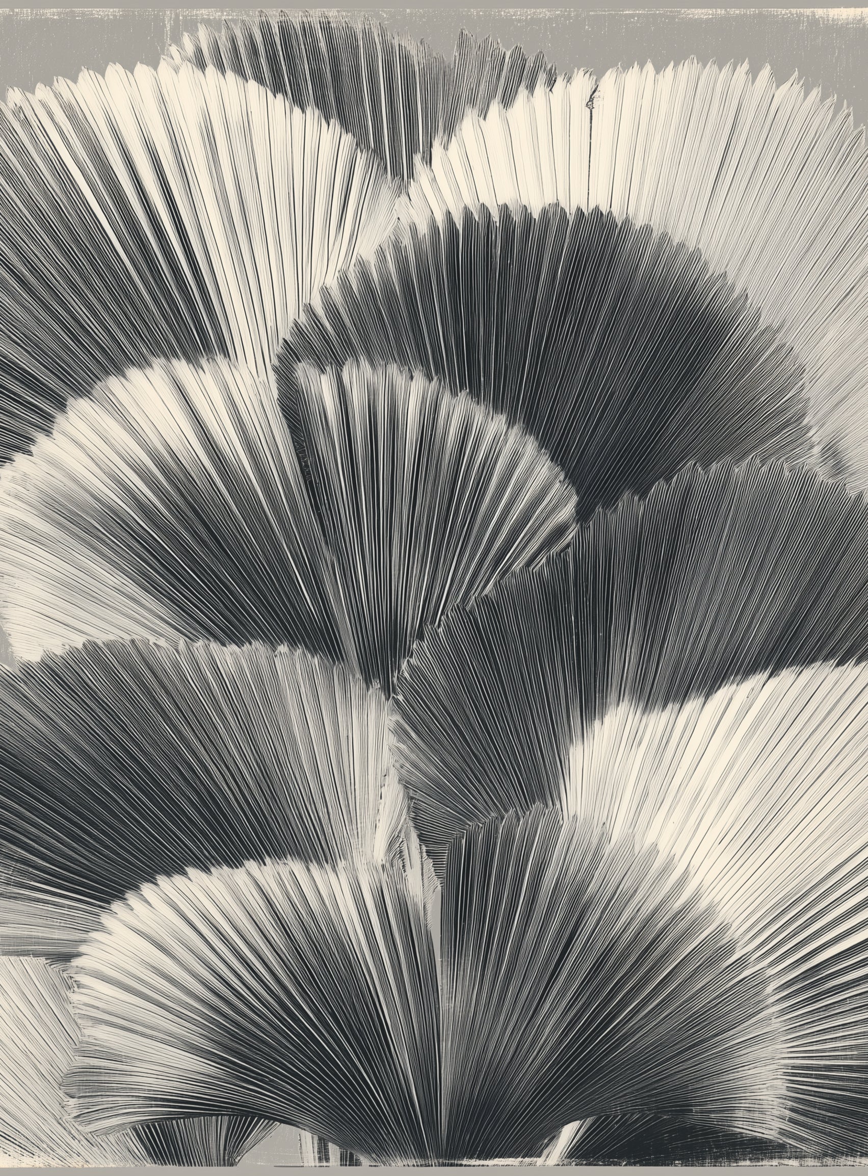 Ginkgo leaves in shadow