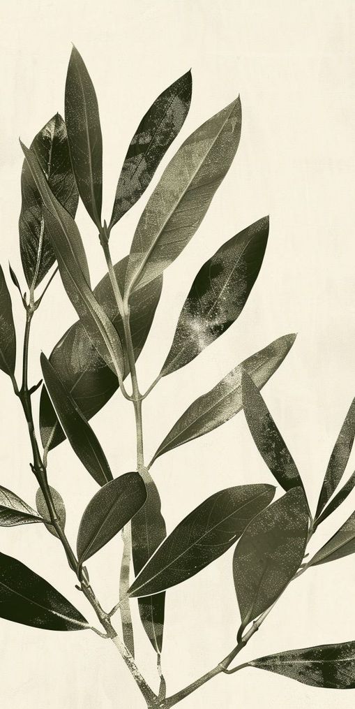 Dark leaves on pale field