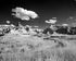 Badlands in Monochrome