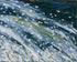 Flowers in a blue rush