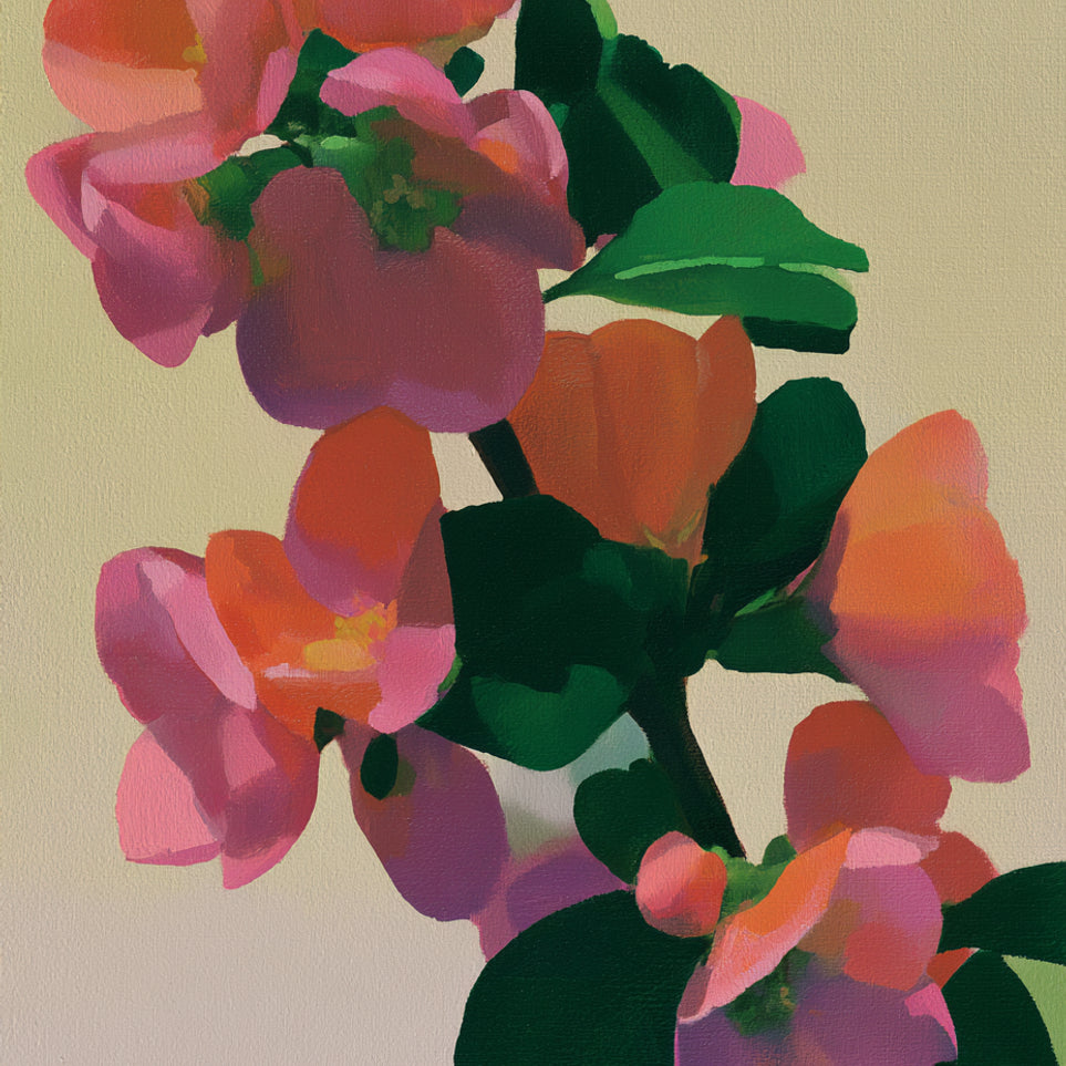 Flowers among dark leaves