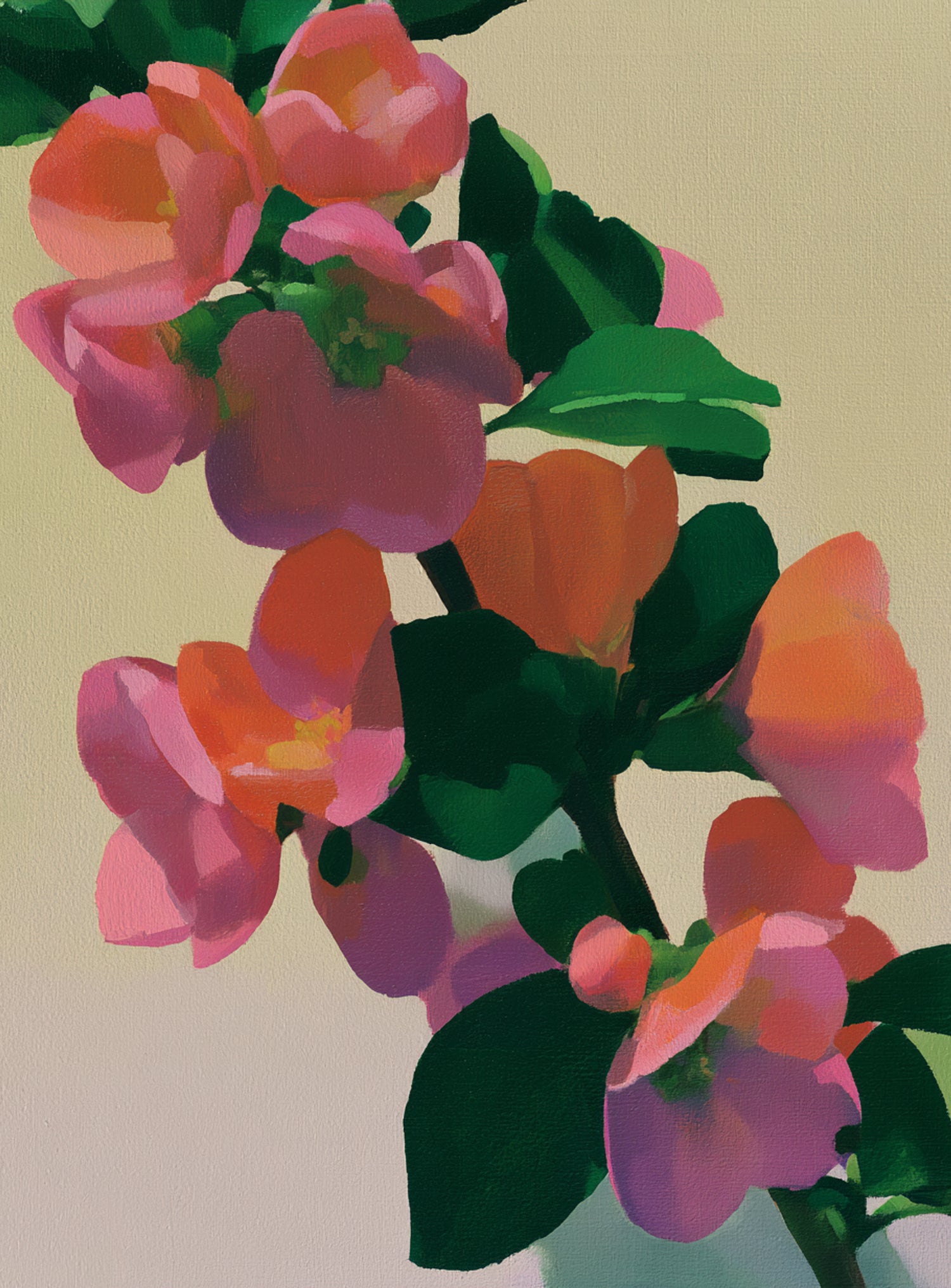 Flowers among dark leaves
