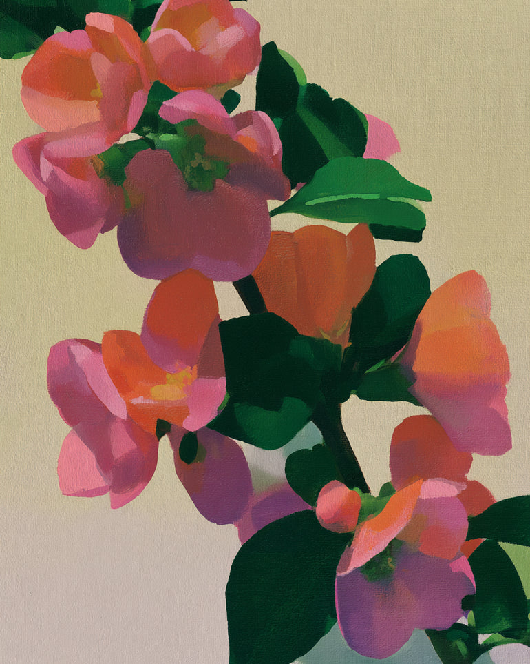 Flowers among dark leaves