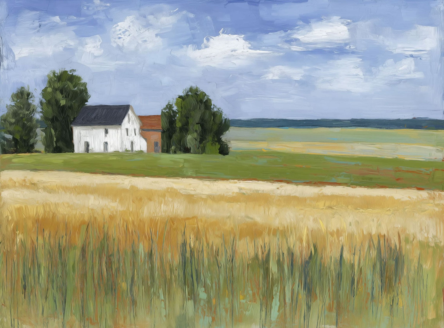Grain Field Under Sun