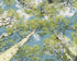 Aspen Canopy I