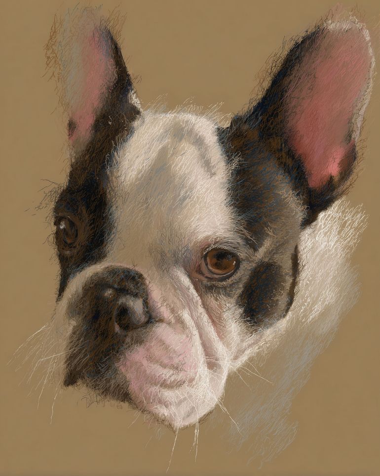Close portrait with upright ears
