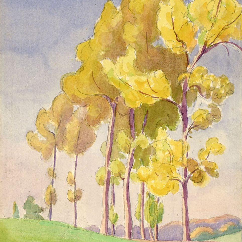 Yellow crowns on the hill