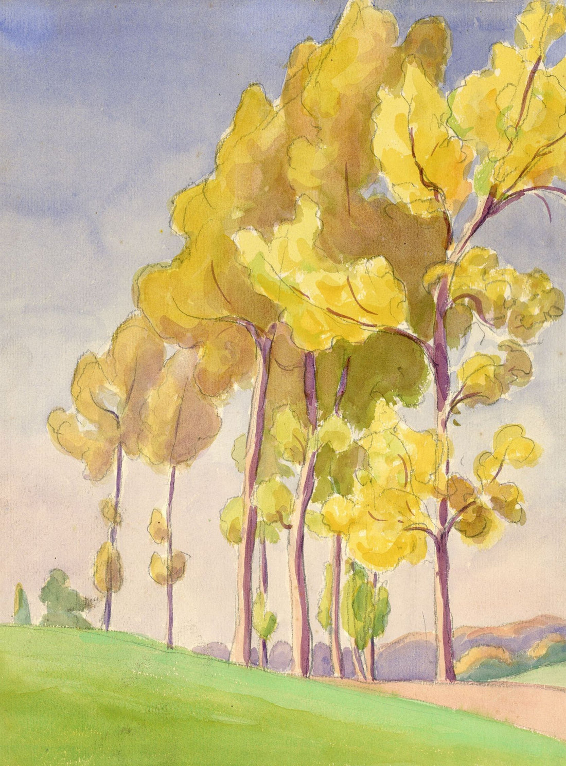 Yellow crowns on the hill