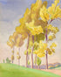 Yellow crowns on the hill
