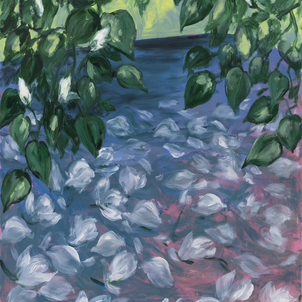 White petals on blue pond