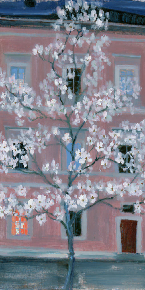 White blossoms against the pink house
