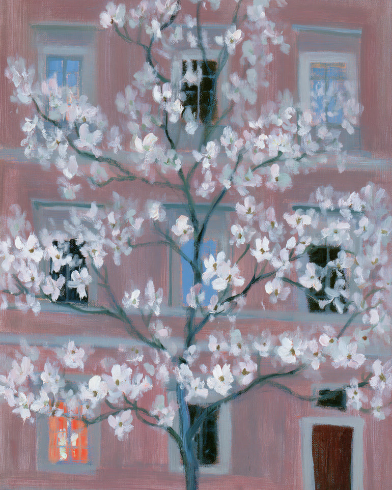 White blossoms against the pink house