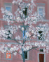 White blossoms against the pink house