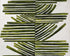 Olive bands with arcs
