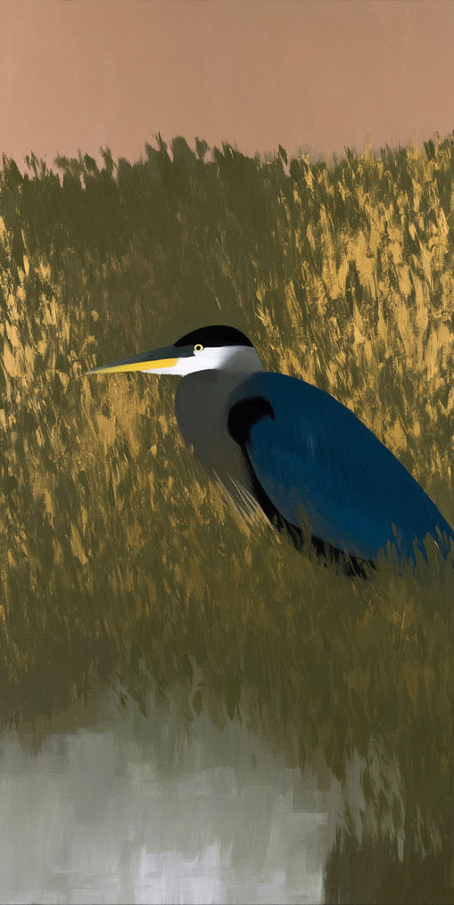 Heron among the reeds