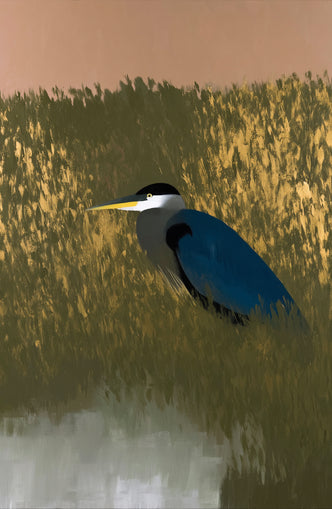 Heron among the reeds