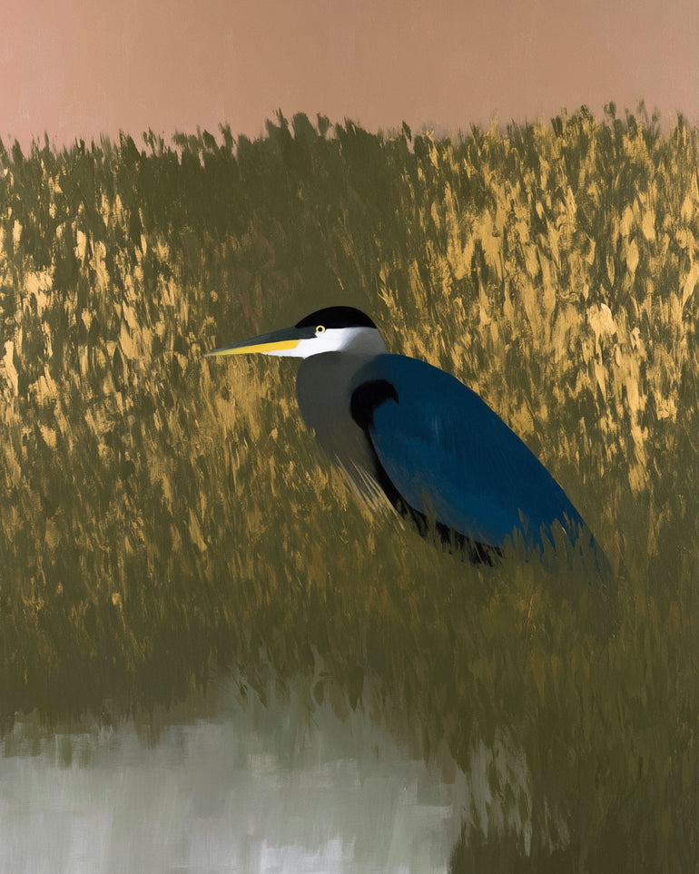 Heron among the reeds
