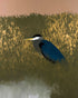 Heron among the reeds