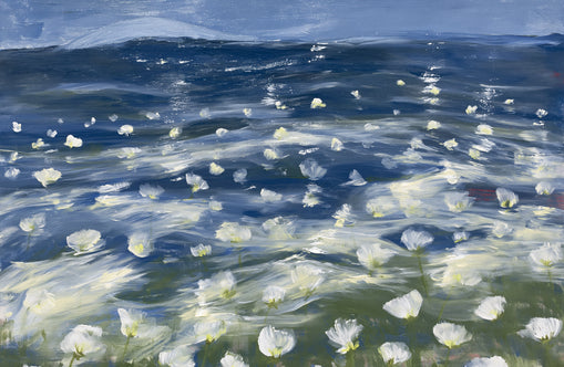 White flowers under blue sky