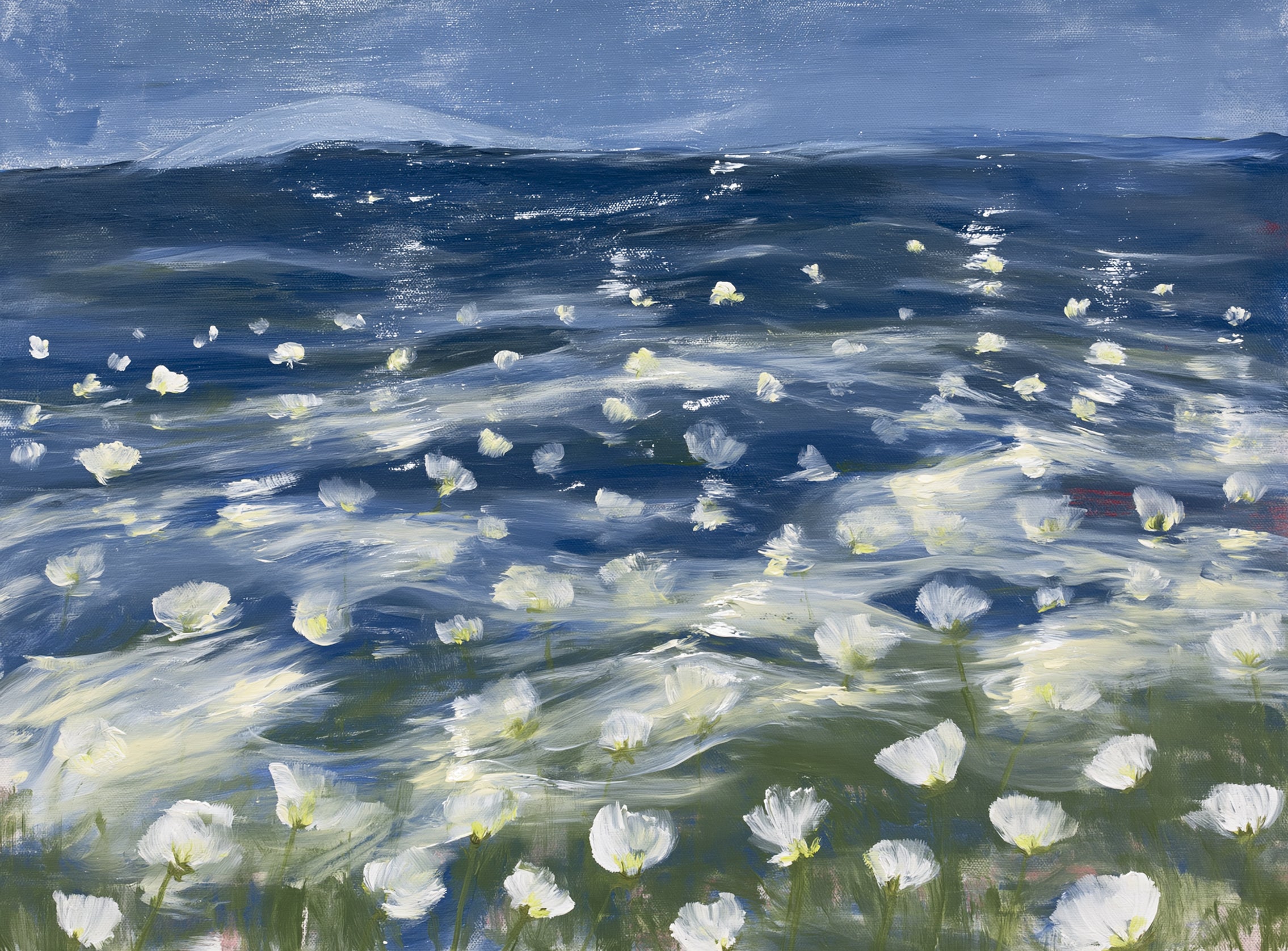 White flowers under blue sky
