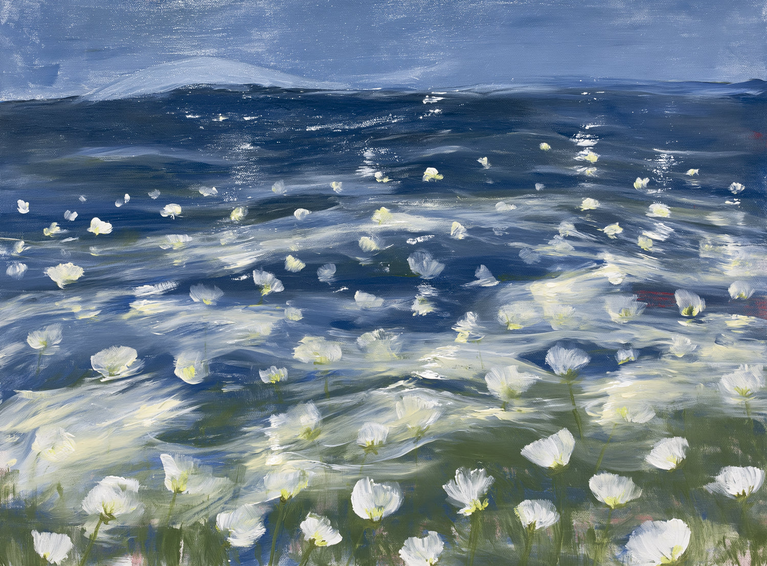 White flowers under blue sky
