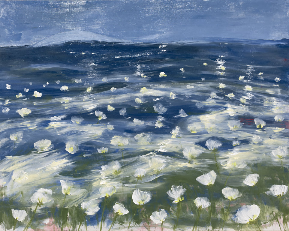 White flowers under blue sky