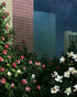 Flowers at the foot of towers