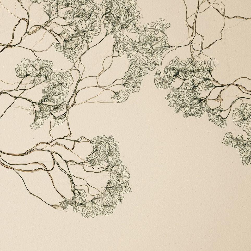Trees Drawn in Continuous Lines