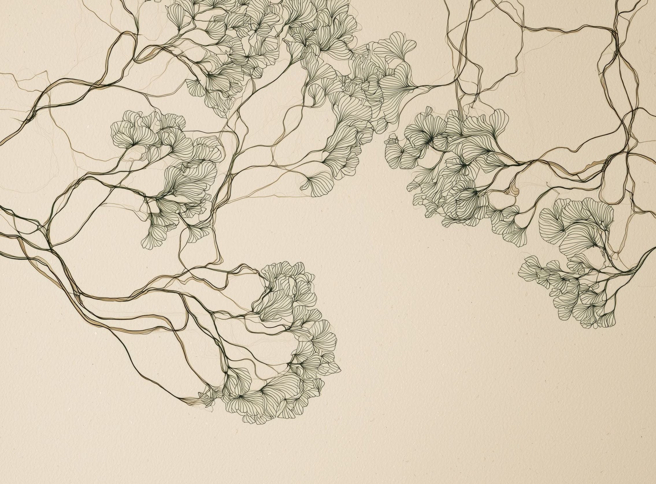 Trees Drawn in Continuous Lines