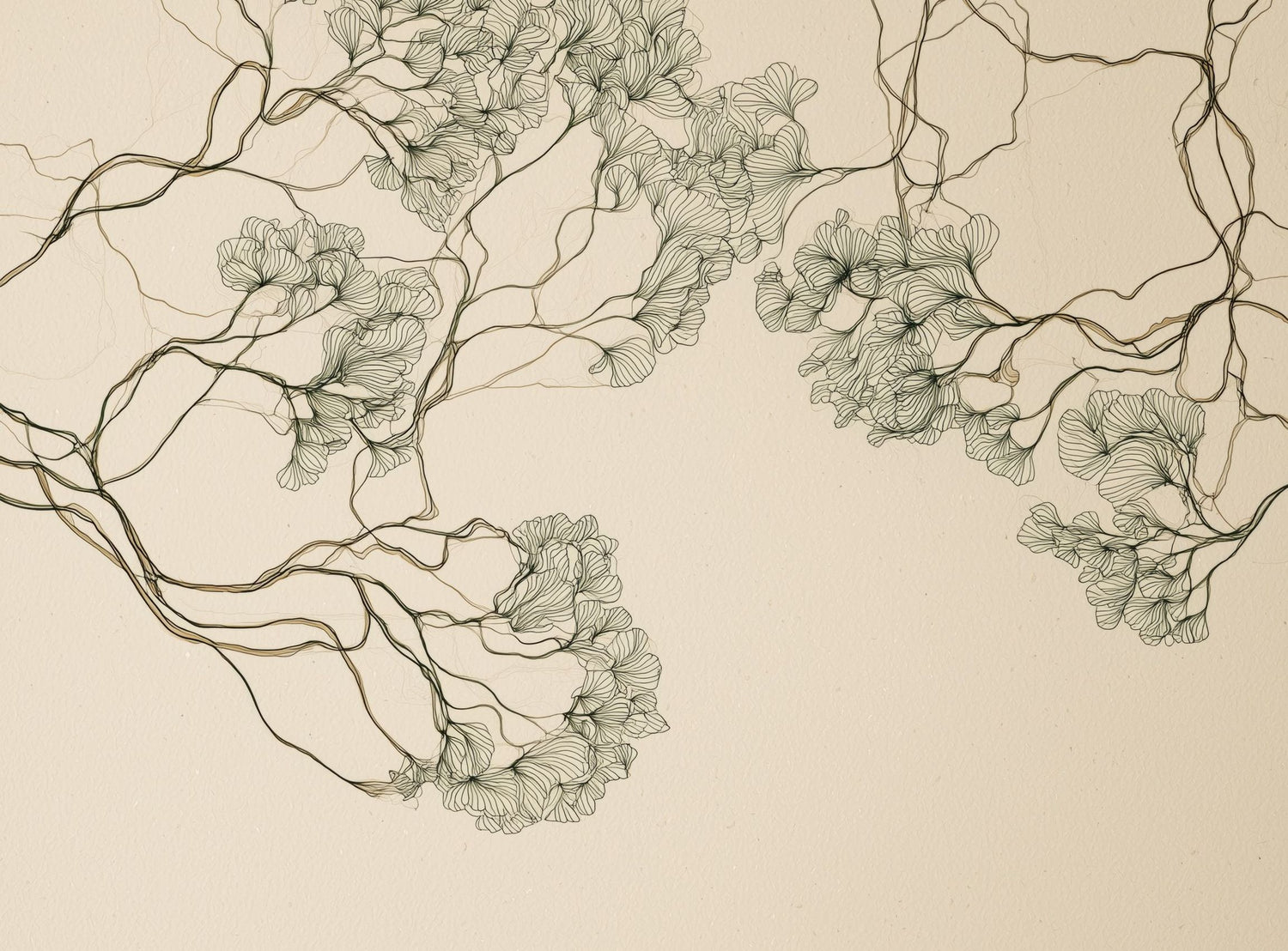 Trees Drawn in Continuous Lines