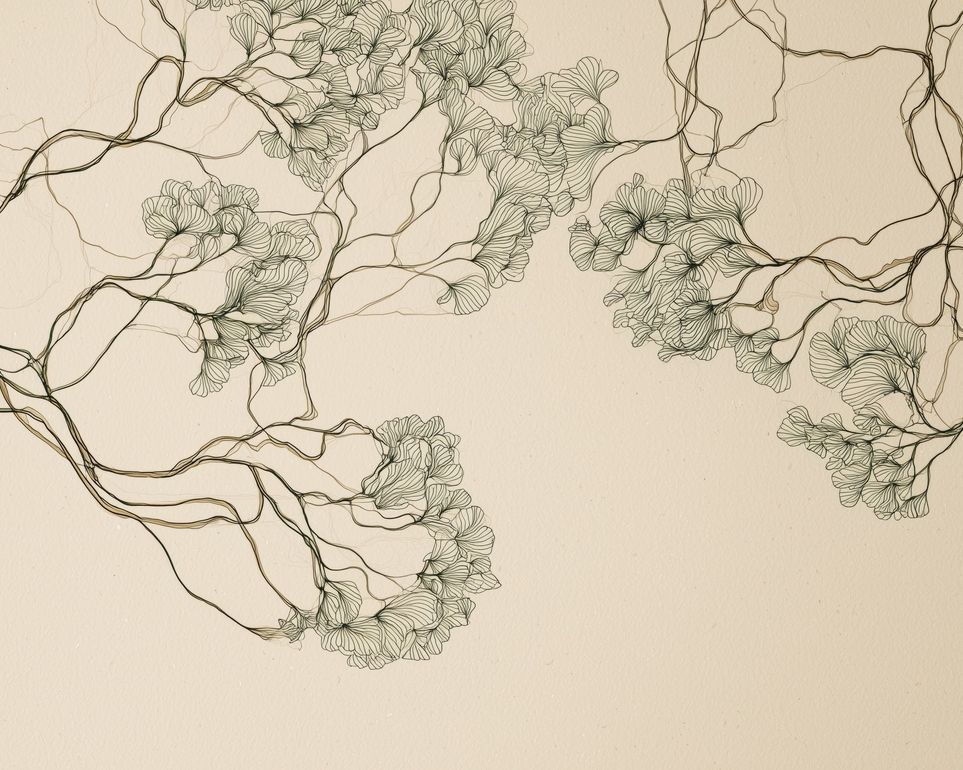 Trees Drawn in Continuous Lines