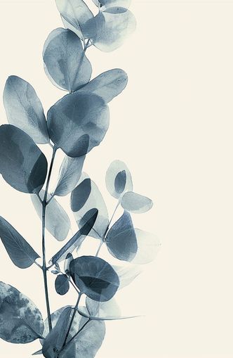 Eucalyptus in quiet blue