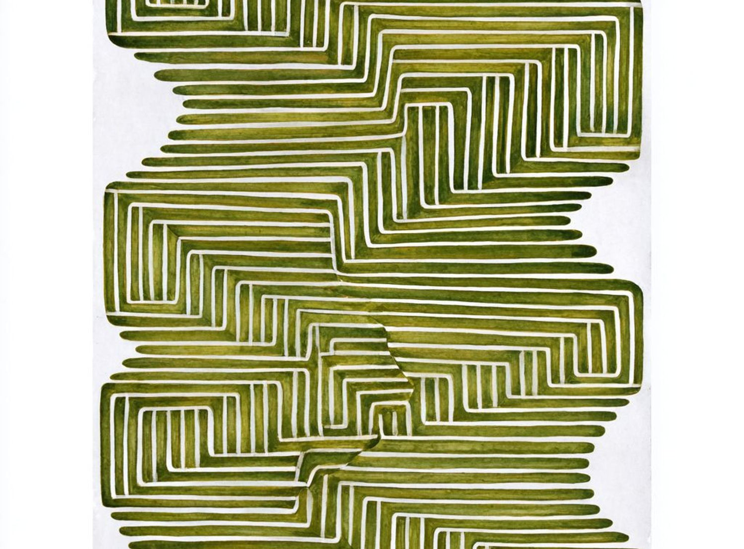 Olive bands in white quiet