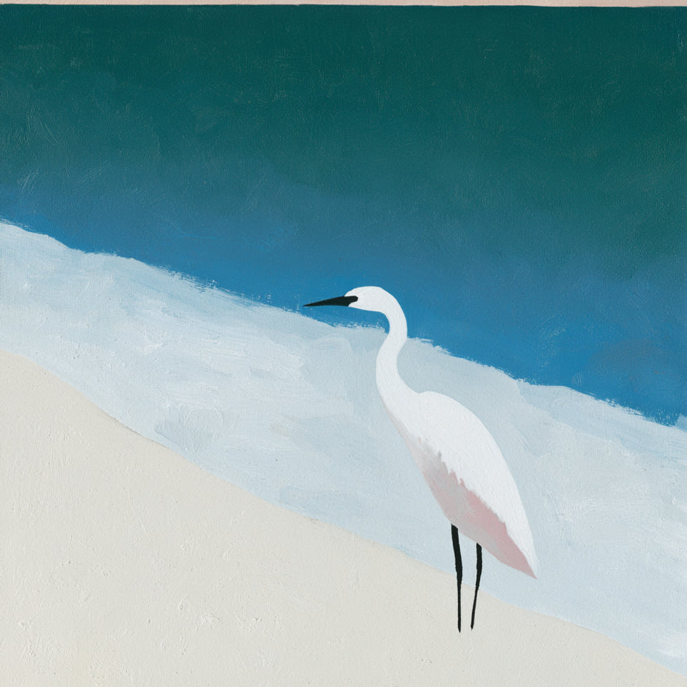White egret at the shoreline