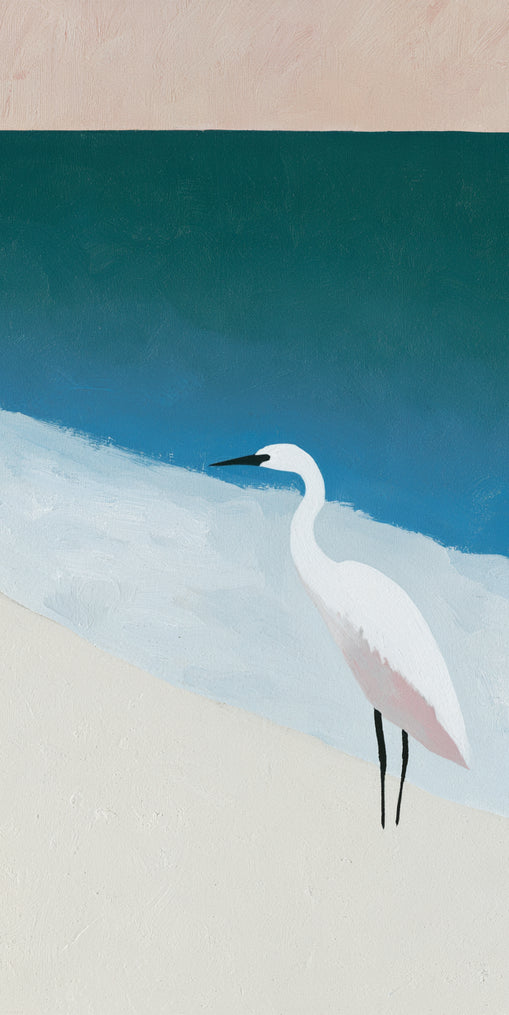 White egret at the shoreline