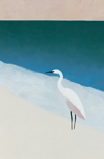 White egret at the shoreline