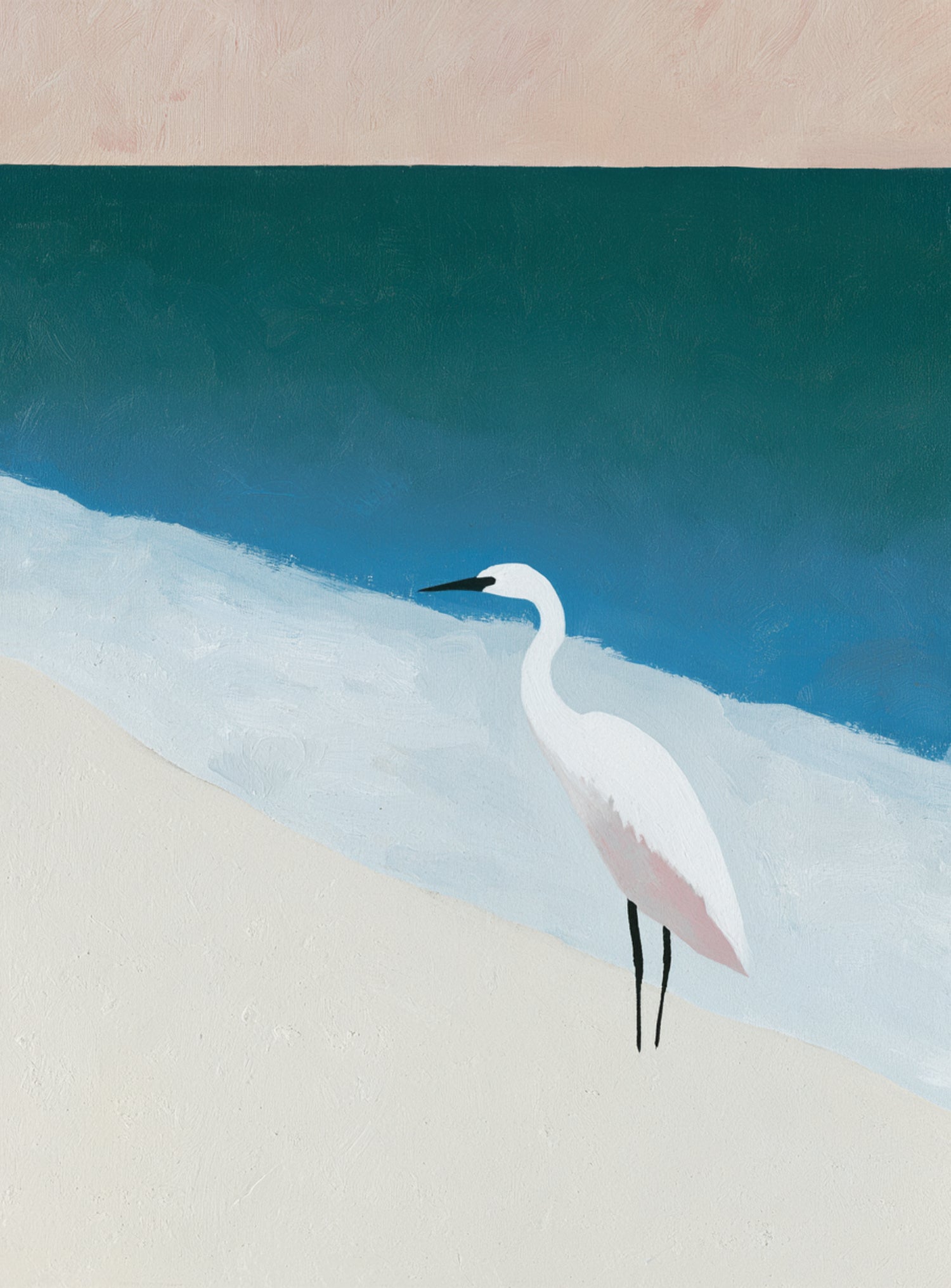 White egret at the shoreline