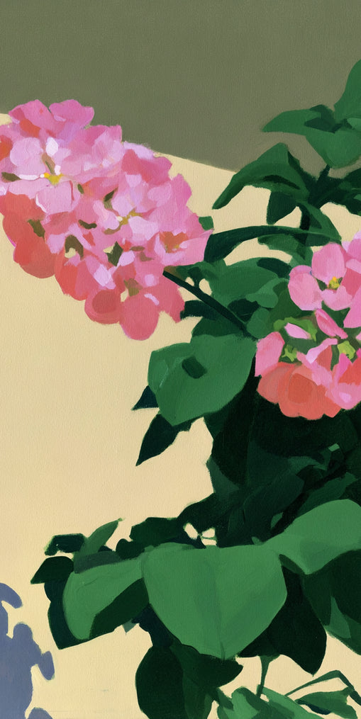 Pink blooms in hard light