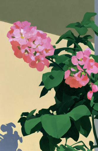 Pink blooms in hard light