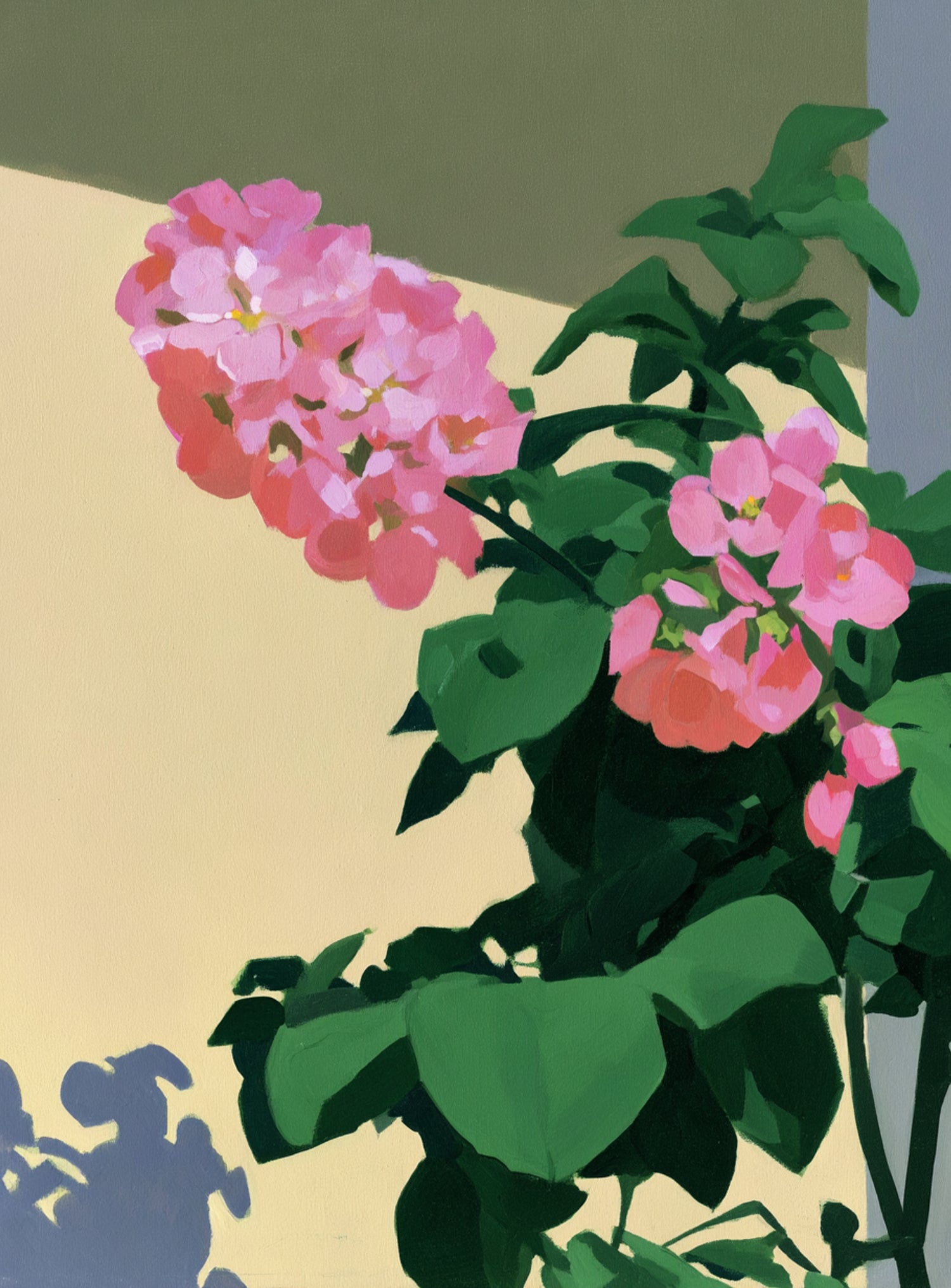 Pink blooms in hard light