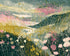 Wildflowers across layered hills