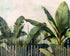 Tropical leaves behind black bars