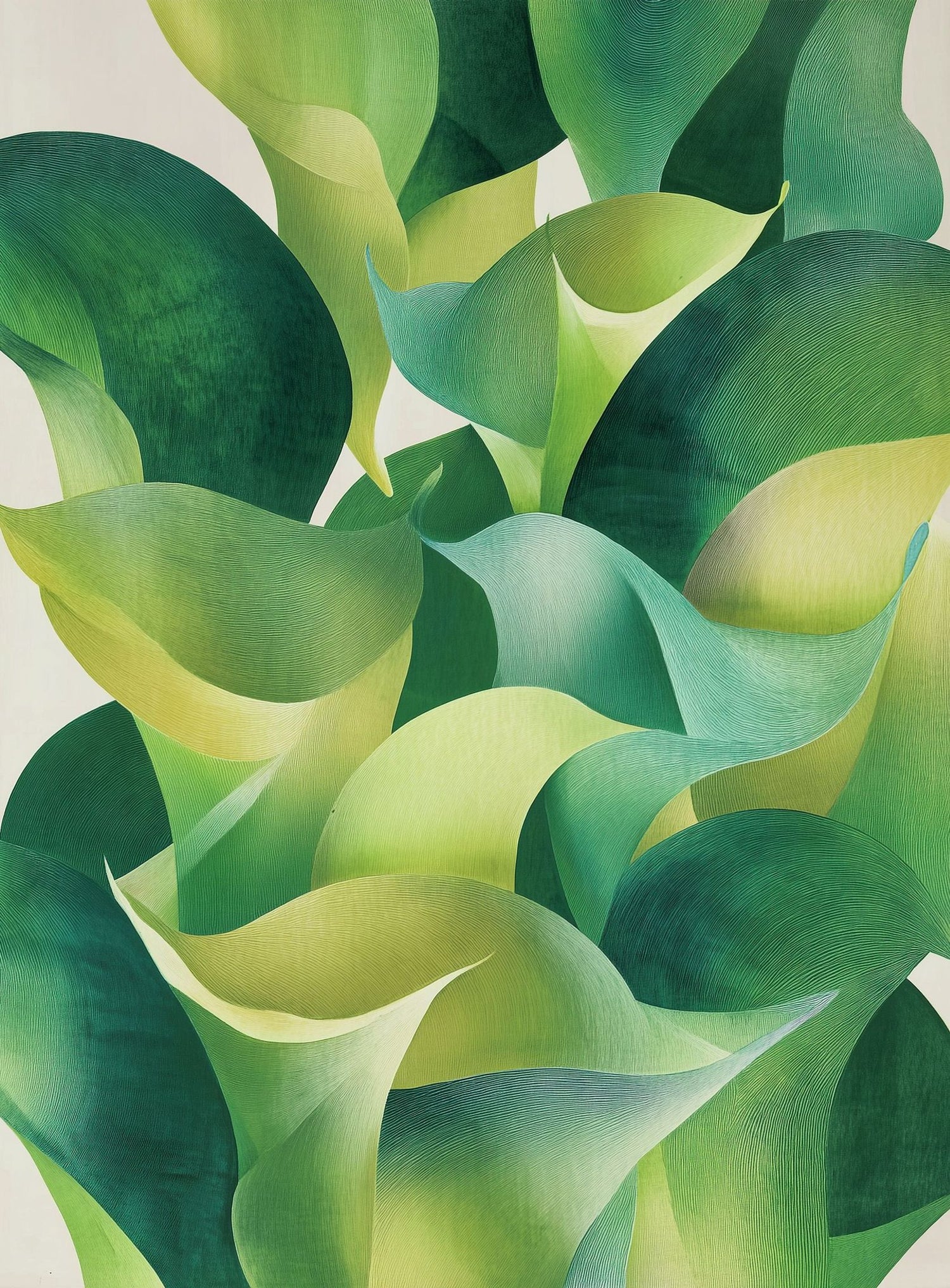 Overlapping curled green leaves