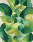 Overlapping curled green leaves