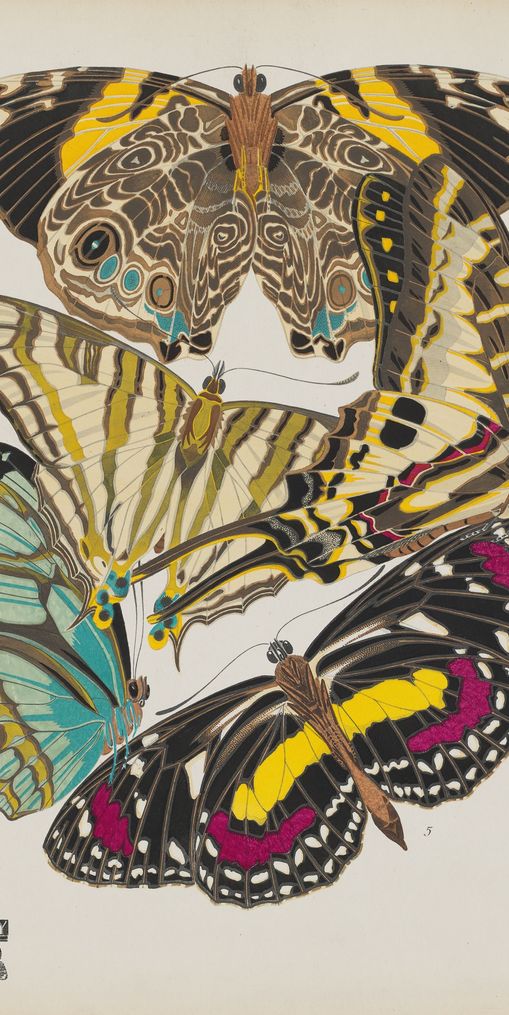Butterflies among blank paper