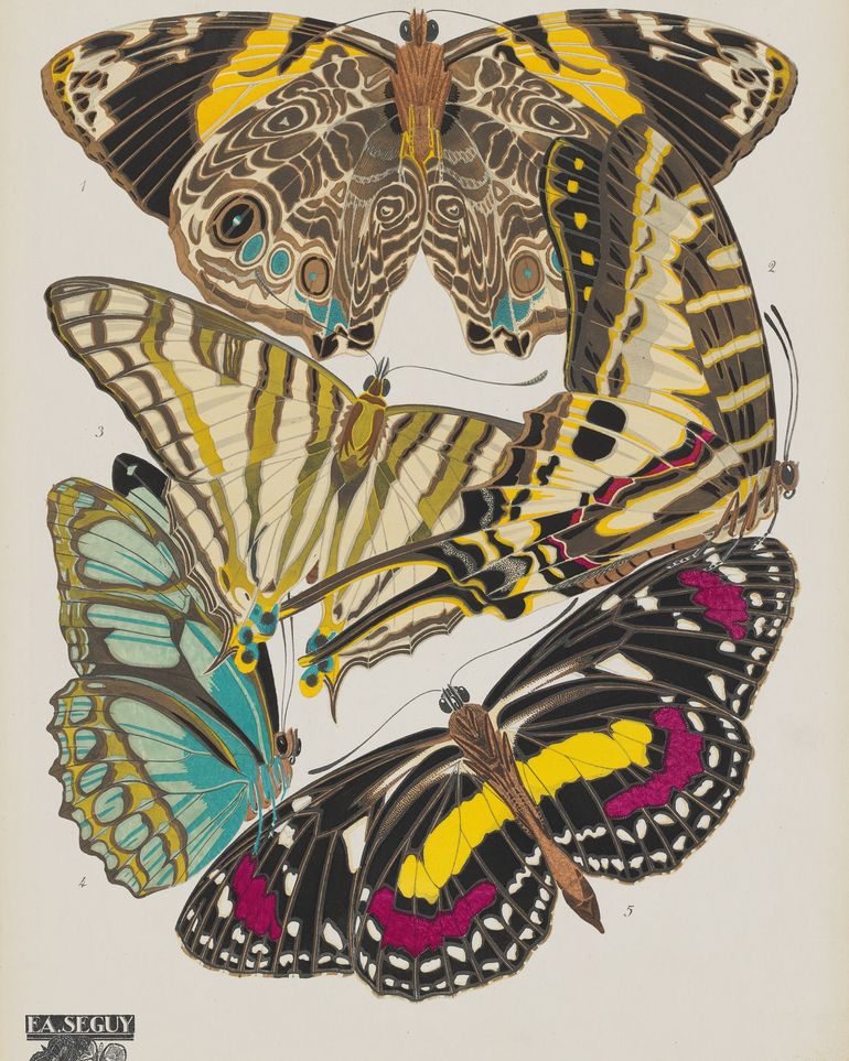 Butterflies among blank paper