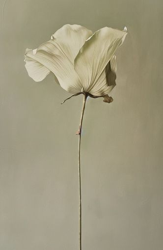 One flower and its hush